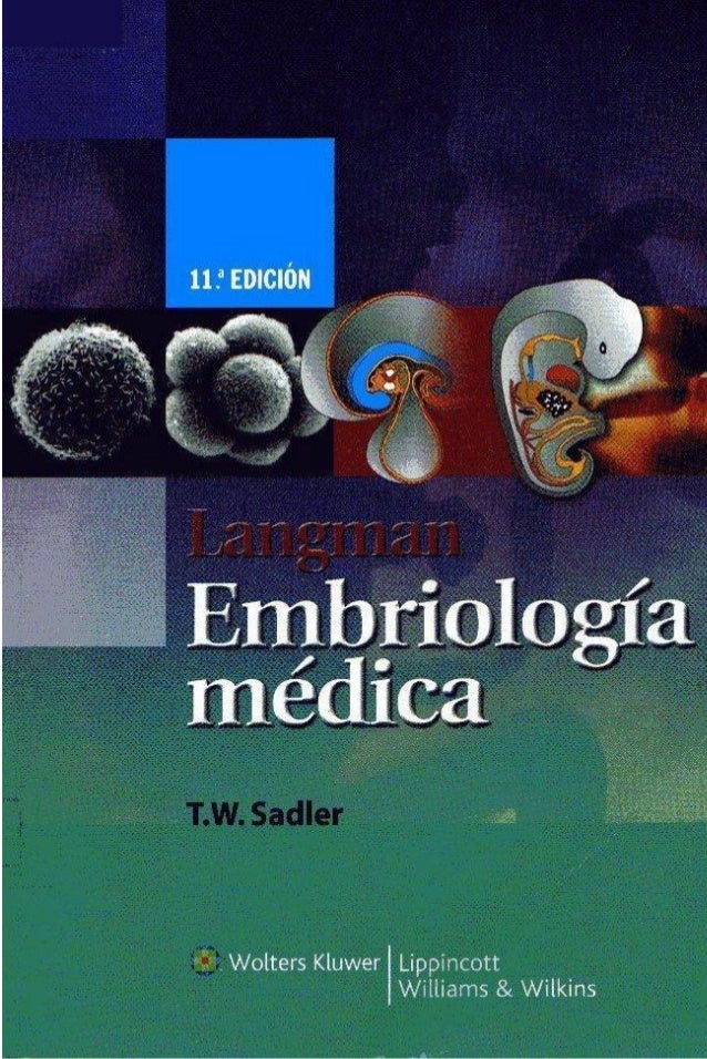 sadler langman embriologia medica